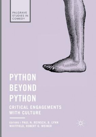Könyv Python beyond Python Paul N. Reinsch