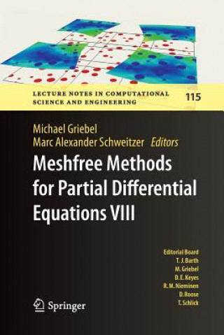 Kniha Meshfree Methods for Partial Differential Equations VIII Michael Griebel