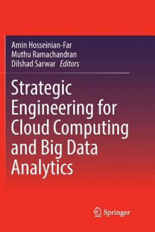 Könyv Strategic Engineering for Cloud Computing and Big Data Analytics Amin Hosseinian-Far