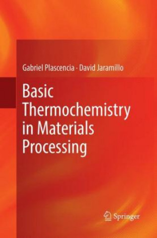 Книга Basic Thermochemistry in Materials Processing Gabriel Plascencia