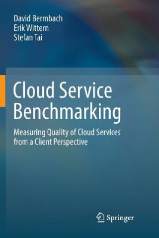 Kniha Cloud Service Benchmarking David Bermbach