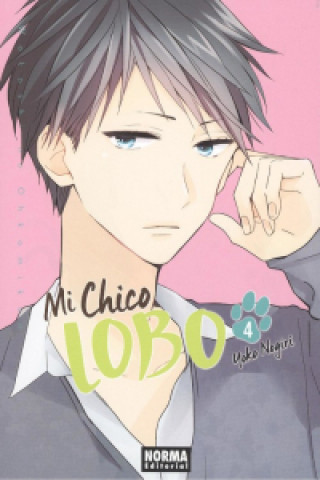 Book MI CHICO LOBO 4 YOUKO NOGIRI