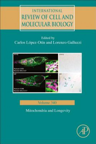 Könyv Mitochondria and Longevity Carlos Lopez-Otin