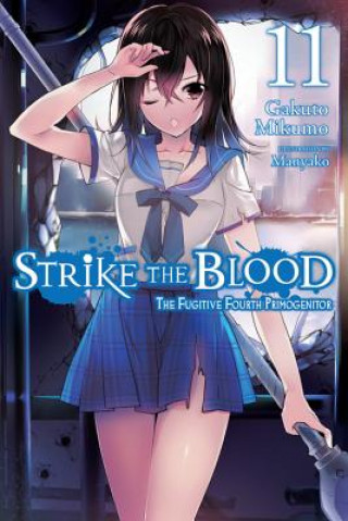 Könyv Strike the Blood, Vol. 11 (light novel) Gakuto Mikumo