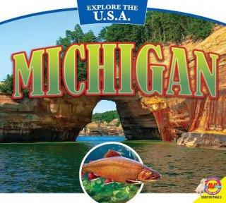 Carte Michigan Pamela McDowell