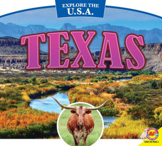Libro Texas Janice Parker