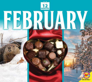 Книга February K C Kelley
