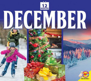Book December K C Kelley