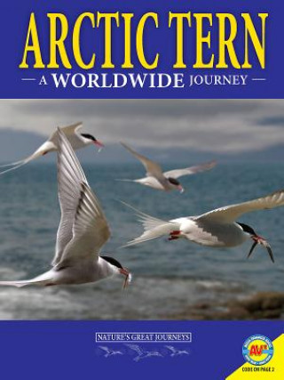 Carte Arctic Terns: A Worldwide Journey Rebecca Hirsch