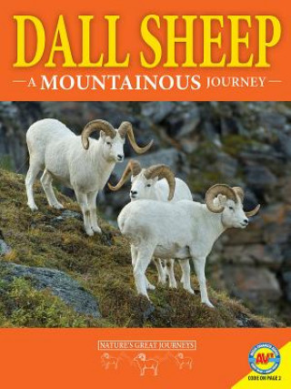 Buch Dall Sheep Rebecca Hirsch