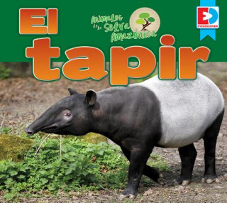 Carte Animales de la Selva Amazonica El Tapir Katie Gillespie