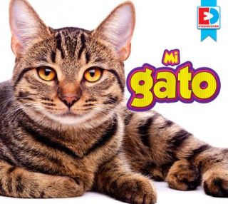Knjiga Mi Gato Katie Gillespie