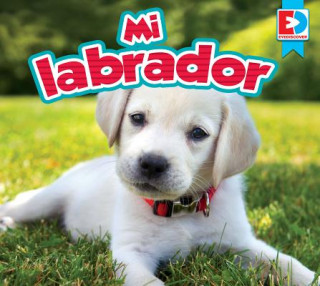 Knjiga Mi Labrador Heather Kissock