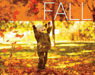 Knjiga Fall Harriet Brundle