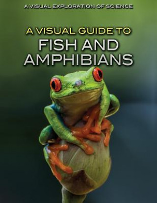 Livre A Visual Guide to Fish and Amphibians Sol90 Editorial