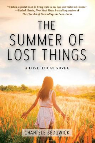 Kniha Summer of Lost Things Chantele Sedgwick