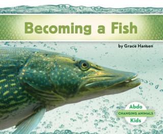 Knjiga Becoming a Fish Grace Hansen