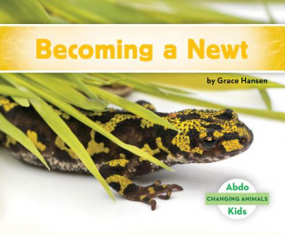 Knjiga Becoming a Newt Grace Hansen