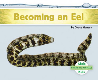Buch Becoming an Eel Grace Hansen
