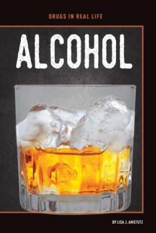 Book Alcohol Lisa J Amstutz