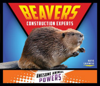 Knjiga Beavers: Construction Experts Katie Lajiness