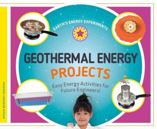 Carte Geothermal Energy Projects: EA Megan Borgert-Spaniol