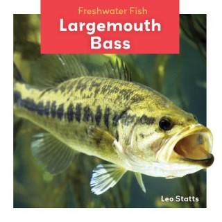 Buch Largemouth Bass Leo Statts