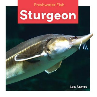 Βιβλίο Sturgeon Leo Statts