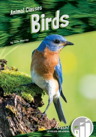 Libro Birds Julie Murray