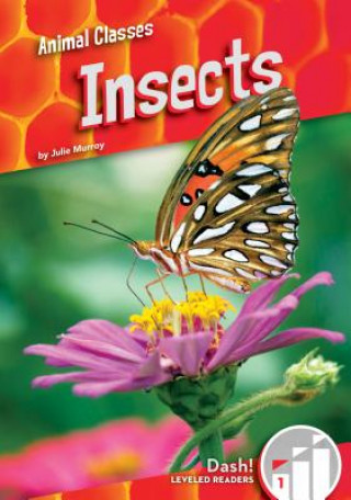 Knjiga Insects Julie Murray