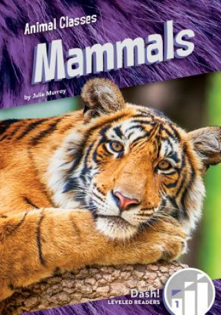 Book Mammals Julie Murray