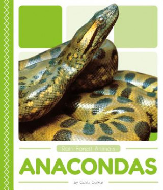 Kniha Anacondas Golriz Golkar