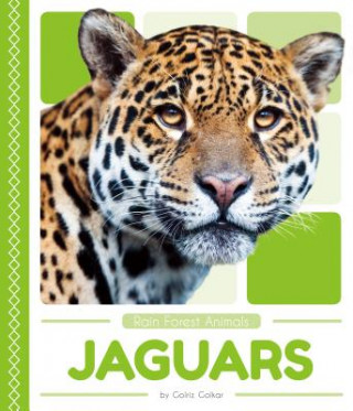 Buch Jaguars Golriz Golkar