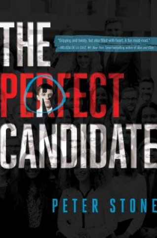 Book The Perfect Candidate Peter Stone