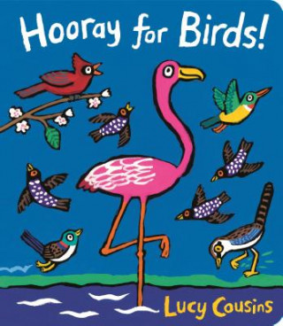 Könyv Hooray for Birds! Lucy Cousins