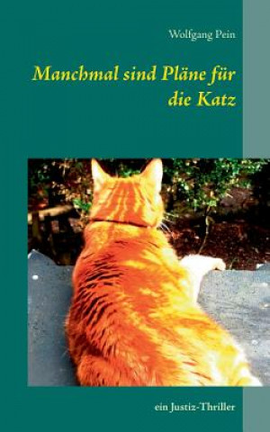 Kniha Manchmal sind Plane fur die Katz Wolfgang Pein