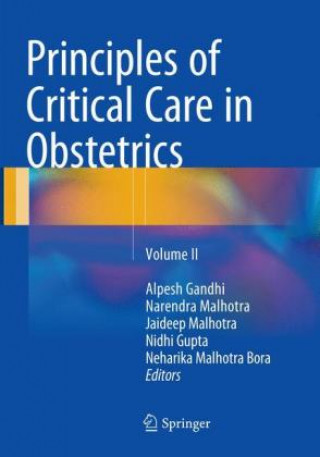 Książka Principles of Critical Care in Obstetrics Alpesh Gandhi