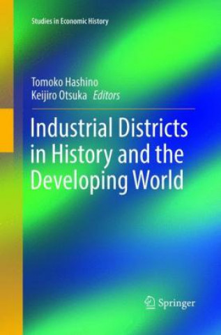 Kniha Industrial Districts in History and the Developing World Tomoko Hashino