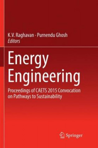 Book Energy Engineering K. V. Raghavan