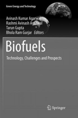 Книга Biofuels Avinash K. Agarwal