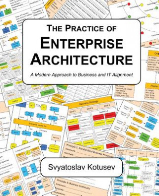 Kniha Practice of Enterprise Architecture Svyatoslav Kotusev