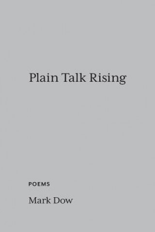 Boek Plain Talk Rising Mark Dow
