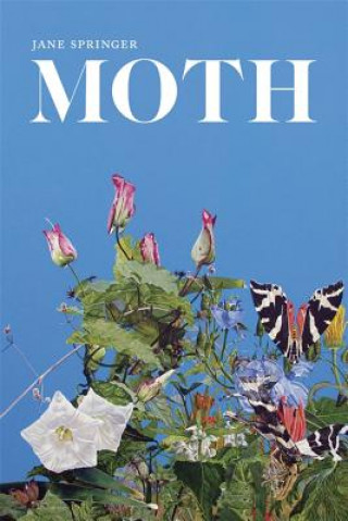 Книга Moth Jane Springer