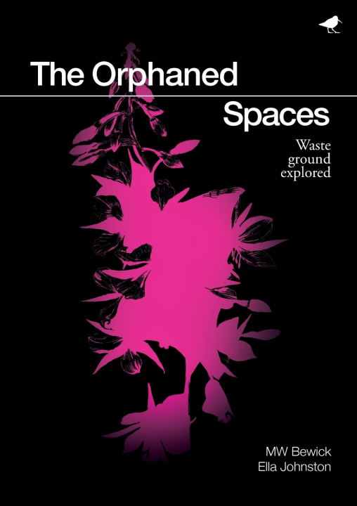 Book Orphaned Spaces MW Bewick