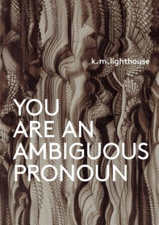 Libro You Are an Ambiguous Pronoun K M Lighthouse