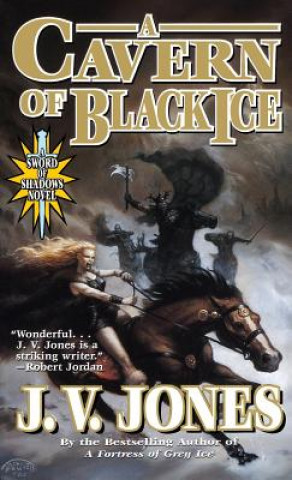 Book Cavern of Black Ice J V Jones