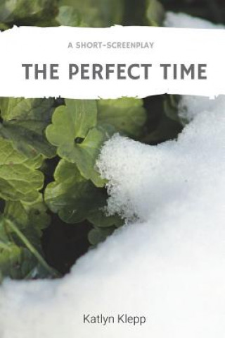 Knjiga Perfect Time Katlyn Klepp