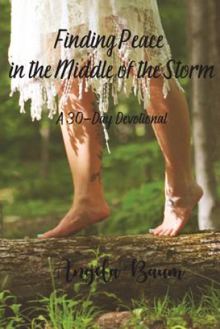 Boek Finding Peace in the Middle of the Storm Angela Baum