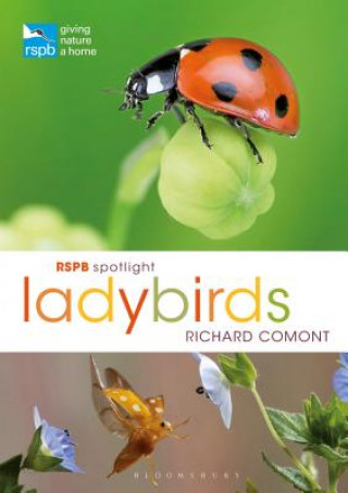 Könyv RSPB Spotlight Ladybirds Richard Comont