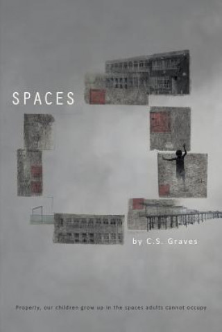 Knjiga Spaces C S Graves